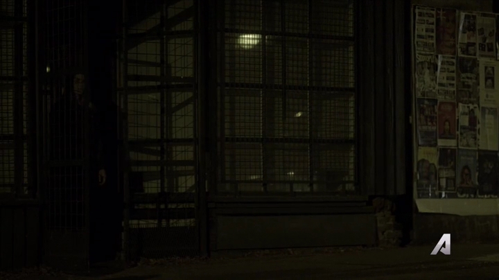 Ashley-Greene-dot-nl_Rogue4x02HowtheLightGetsIn0521.jpg