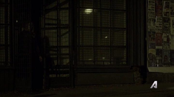 Ashley-Greene-dot-nl_Rogue4x02HowtheLightGetsIn0522.jpg