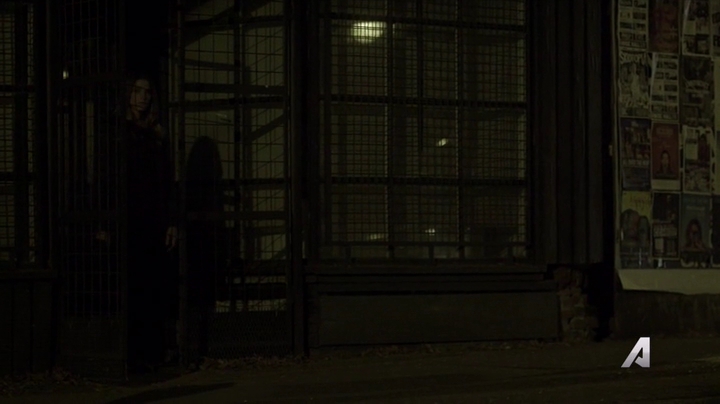 Ashley-Greene-dot-nl_Rogue4x02HowtheLightGetsIn0523.jpg