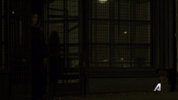 Ashley-Greene-dot-nl_Rogue4x02HowtheLightGetsIn0524.jpg