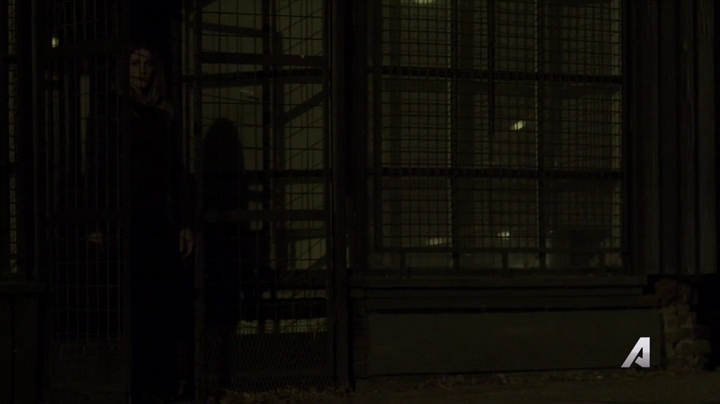 Ashley-Greene-dot-nl_Rogue4x02HowtheLightGetsIn0525.jpg
