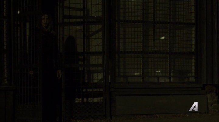 Ashley-Greene-dot-nl_Rogue4x02HowtheLightGetsIn0526.jpg