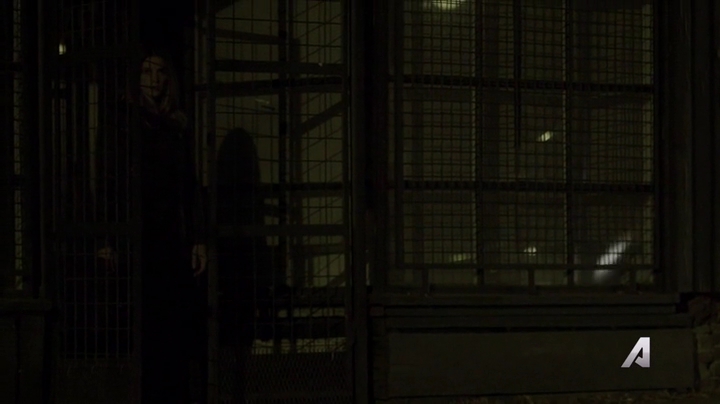 Ashley-Greene-dot-nl_Rogue4x02HowtheLightGetsIn0527.jpg