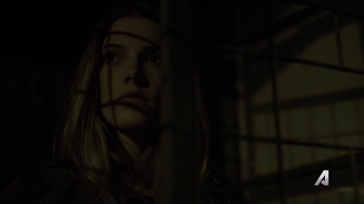 Ashley-Greene-dot-nl_Rogue4x02HowtheLightGetsIn0528.jpg