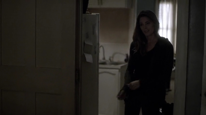 Ashley-Greene-dot-nl_Rogue4x04TheDeterminedandtheDesperate0417.jpg