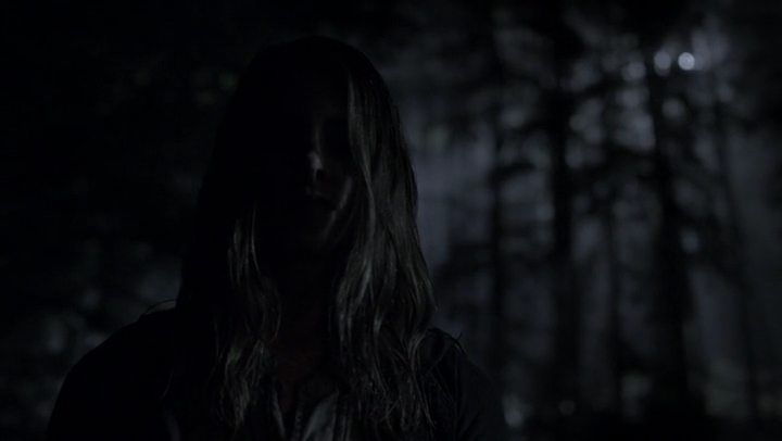 Ashley-Greene-dot-nl_Rogue4x05PoolBoy0122.jpg