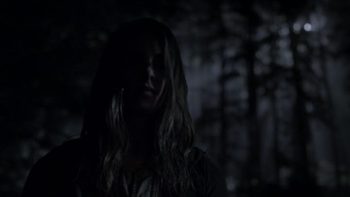 Ashley-Greene-dot-nl_Rogue4x05PoolBoy0123.jpg