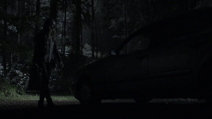 Ashley-Greene-dot-nl_Rogue4x05PoolBoy0132.jpg