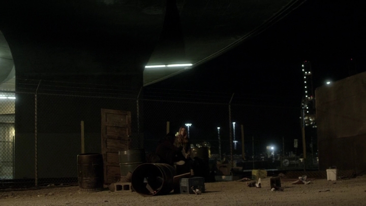 Ashley-Greene-dot-NL_Rogue4x06Elk2016.jpg