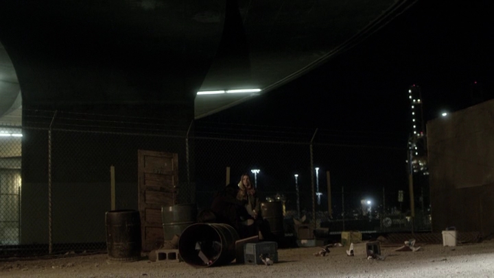 Ashley-Greene-dot-NL_Rogue4x06Elk2025.jpg