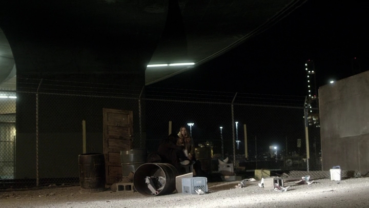 Ashley-Greene-dot-NL_Rogue4x06Elk2026.jpg