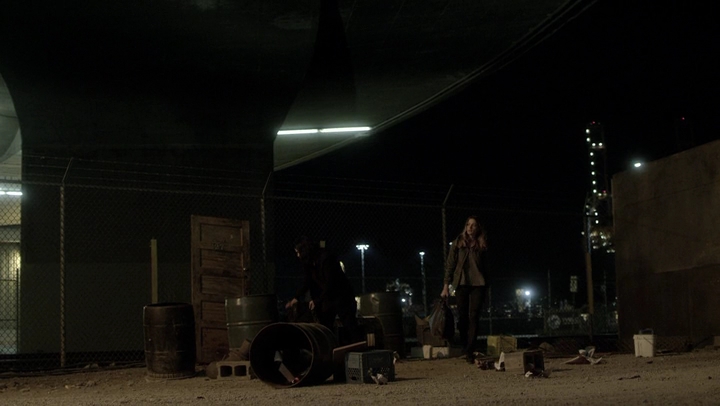 Ashley-Greene-dot-NL_Rogue4x06Elk2043.jpg
