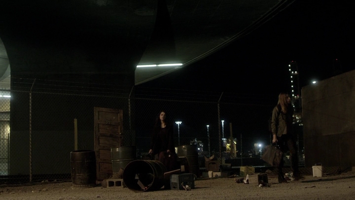 Ashley-Greene-dot-NL_Rogue4x06Elk2045.jpg