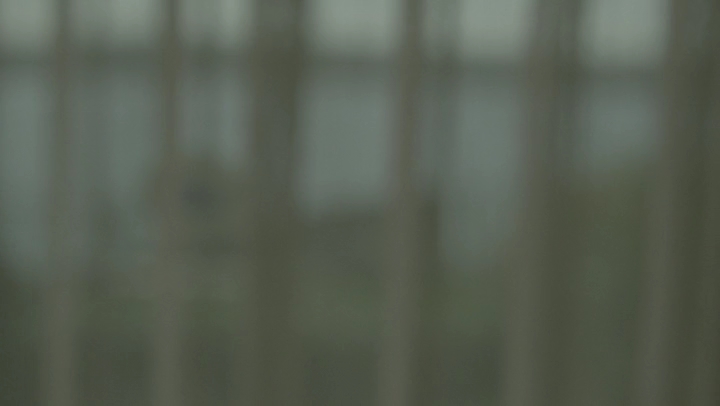 Ashley-Greene-dot-NL_Rogue4x06Elk2728.jpg