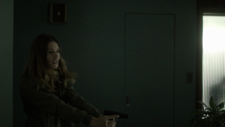 Ashley-Greene-dot-NL_Rogue4x06Elk2760.jpg