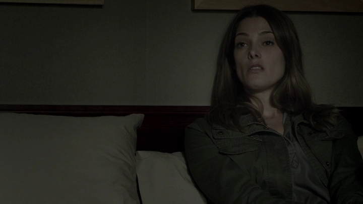 Ashley-Greene-dot-NL_Rogue4x07Bifocals0310.jpg