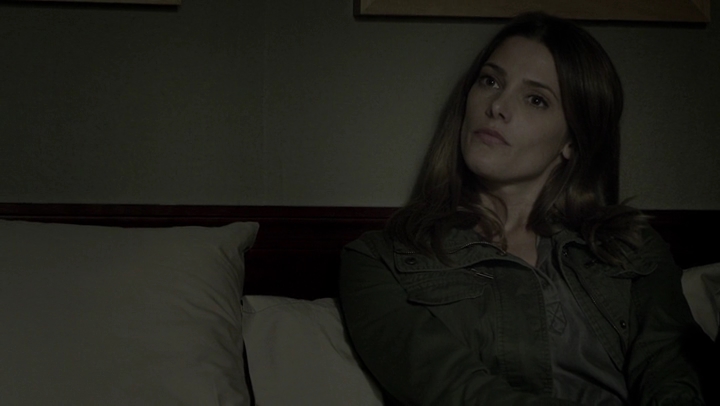 Ashley-Greene-dot-NL_Rogue4x07Bifocals0322.jpg