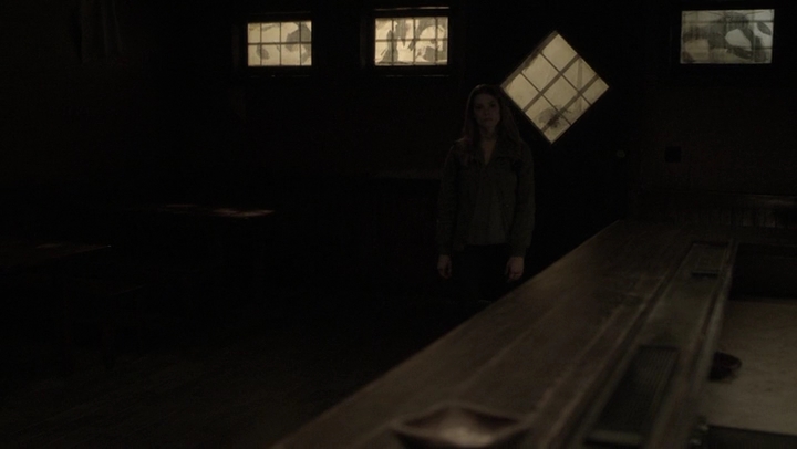 Ashley-Greene-dot-NL_Rogue4x07Bifocals1655.jpg