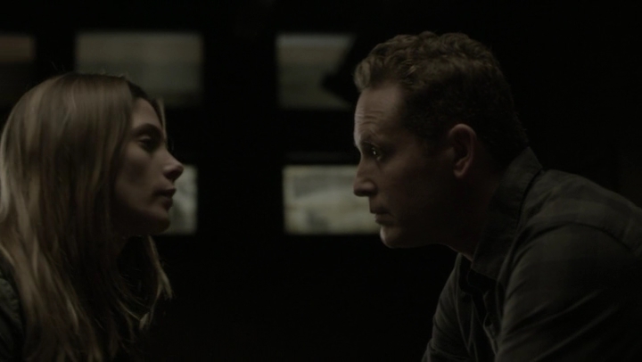 Ashley-Greene-dot-NL_Rogue4x07Bifocals1774.jpg