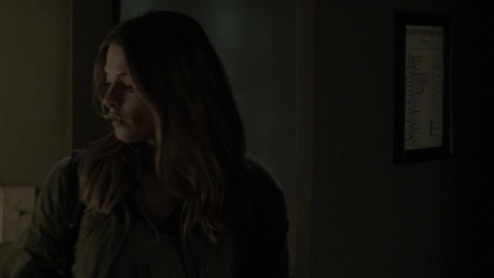 Ashley-Greene-dot-NL_Rogue4x07Bifocals1950.jpg