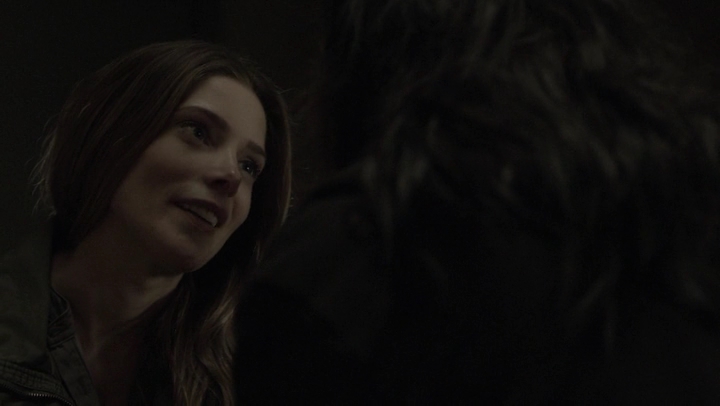 Ashley-Greene-dot-NL_Rogue4x07Bifocals2013.jpg