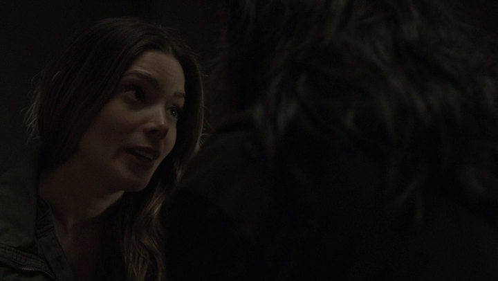 Ashley-Greene-dot-NL_Rogue4x07Bifocals2015.jpg