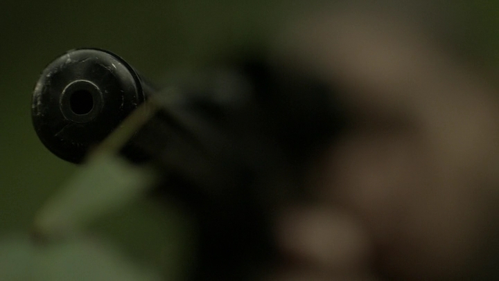 Ashley-Greene-dot-NL_Rogue4x07Bifocals2295.jpg