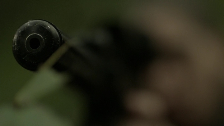 Ashley-Greene-dot-NL_Rogue4x07Bifocals2296.jpg