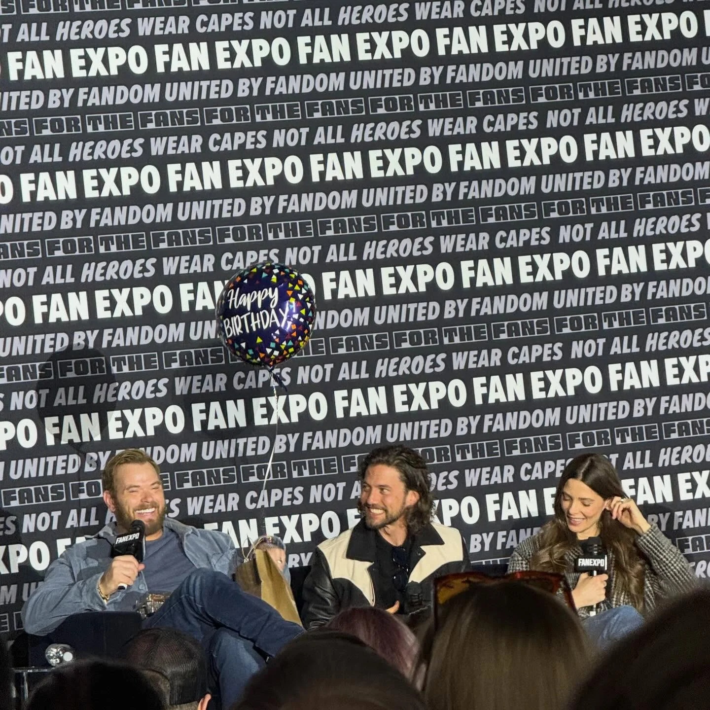 panel004.jpg
