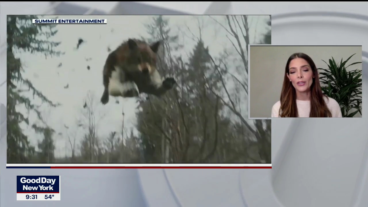 Ashley-Greene-dot-nl_2020Fox5-interview0317.jpg Ashley-Greene-dot-nl_2020Fox5-interview0317.jpg