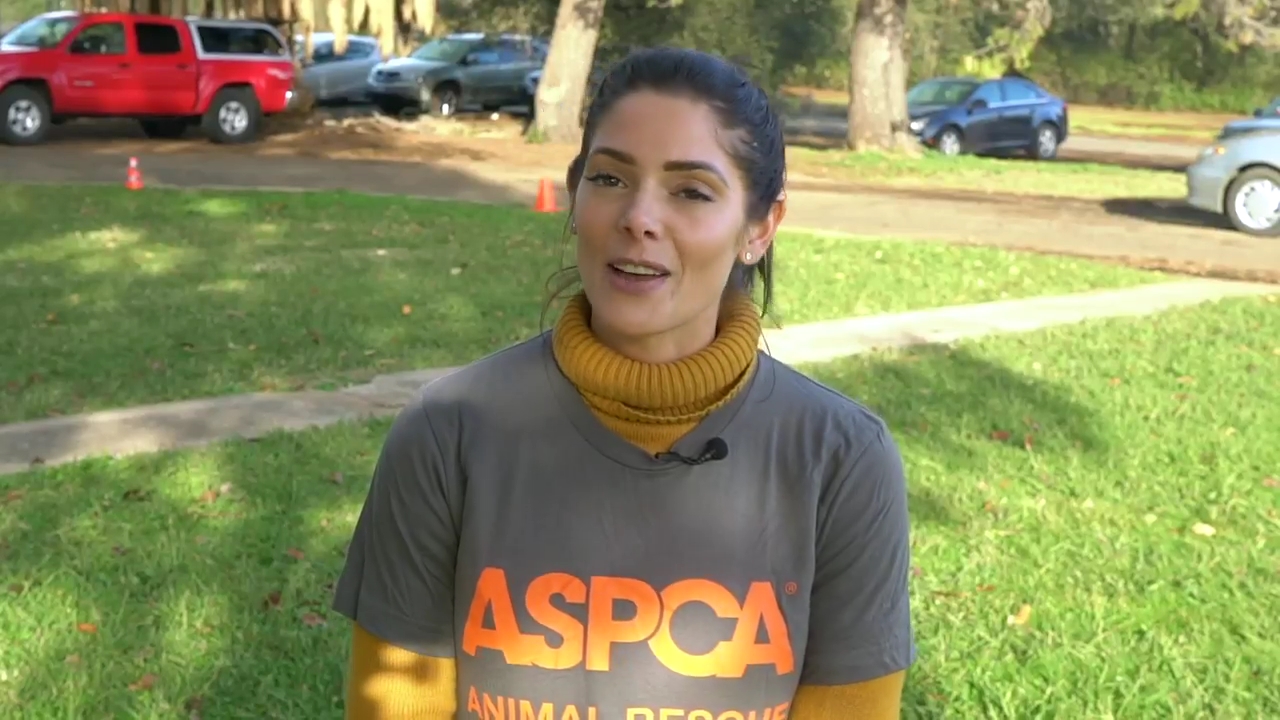 Ashley-Greene-dot-nl_ASPCA0001.jpg