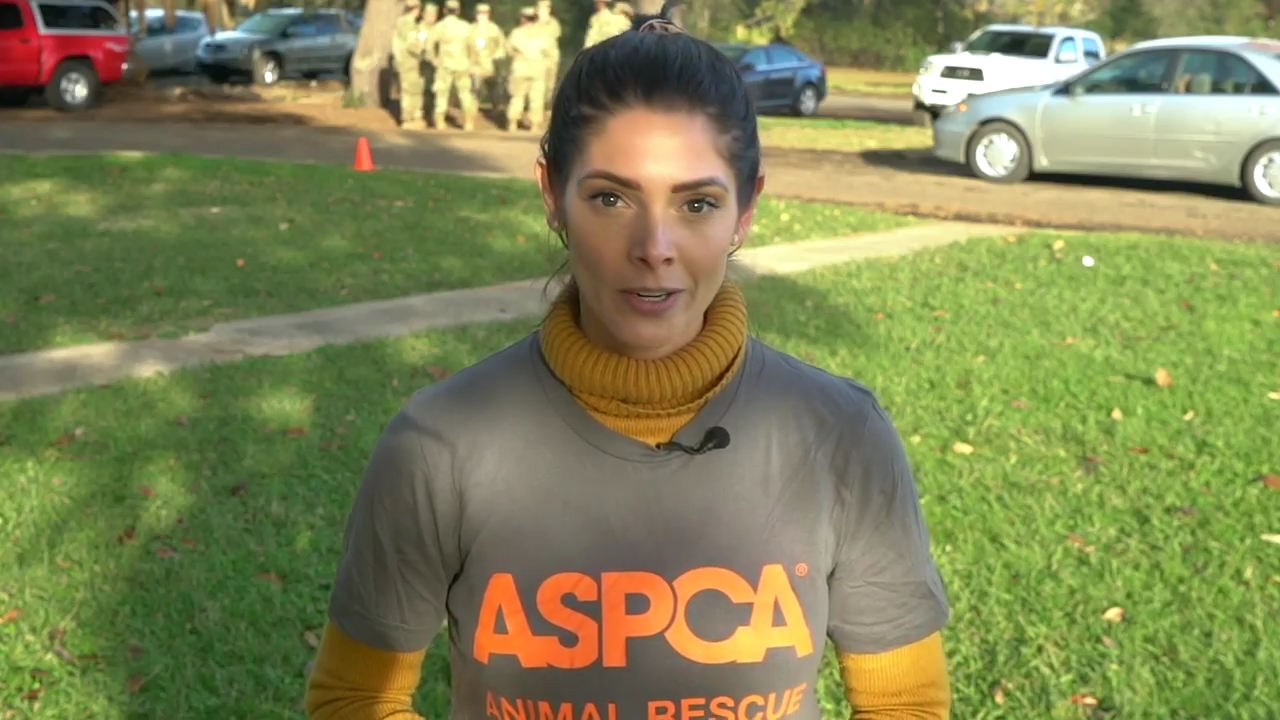 Ashley-Greene-dot-nl_ASPCA0071.jpg Ashley-Greene-dot-nl_ASPCA0071.jpg