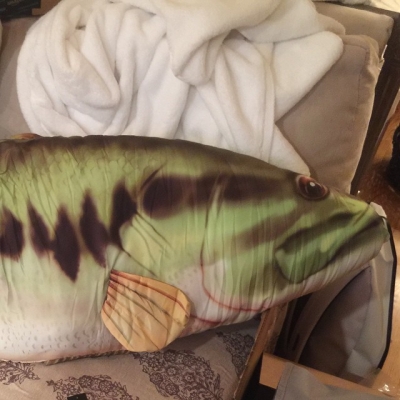16 Oktober: I have weird friends who send me weird things... Like giant stuffed fishes. Thanks bud 
