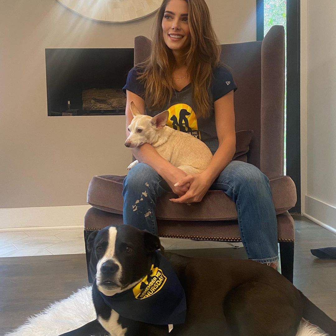 24 september: On Remember Me Thursday, we shine a light to encourage pet adoption worldwide, about the amazing rescue pets, who fill our hearts and lives with love & joy! Not only are pets an amazing source of comfort, healing and happiness, sometimes they’re lifesavers-so lets help return the favor on #remembermethursday
Visit https://remembermethursday.org for more info!
24 september: On Remember Me Thursday, we shine a light to encourage pet adoption worldwide, about the amazing rescue pets, who fill our hearts and lives with love & joy! Not only are pets an amazing source of comfort, healing and happiness, sometimes they’re lifesavers-so lets help return the favor on #remembermethursday
Visit https://remembermethursday.org for more info!