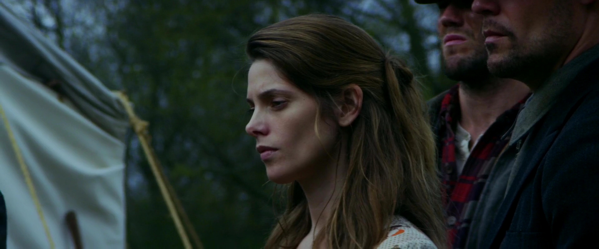 Ashley-Greene-nl_InDubiousBattle6045.jpg