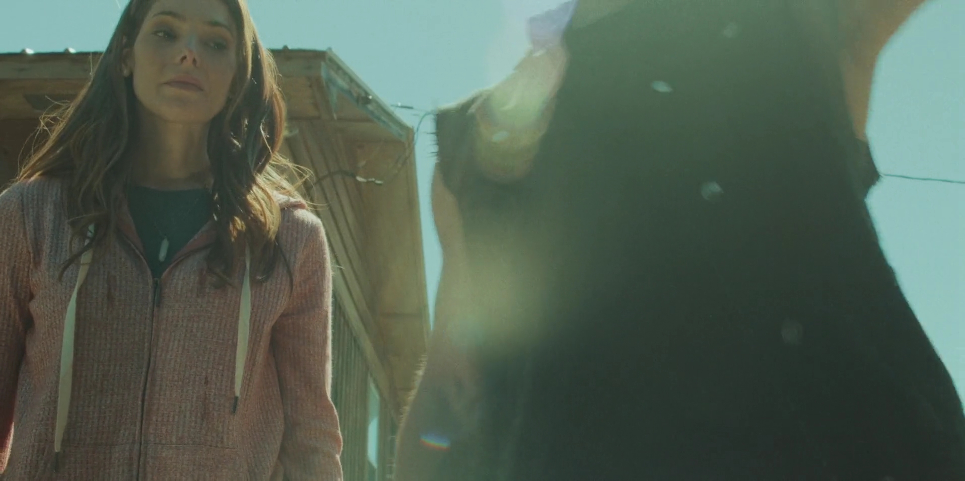 Ashley-Greene-dot-nl_WrongPlace2760.jpg