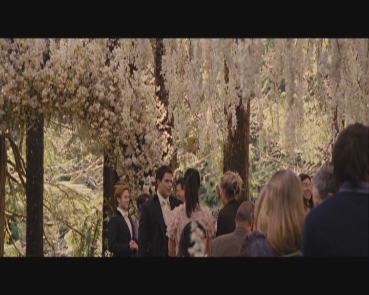 Ashley-Greene-dot-nl_BreakingDawnPart1-0198.jpg
