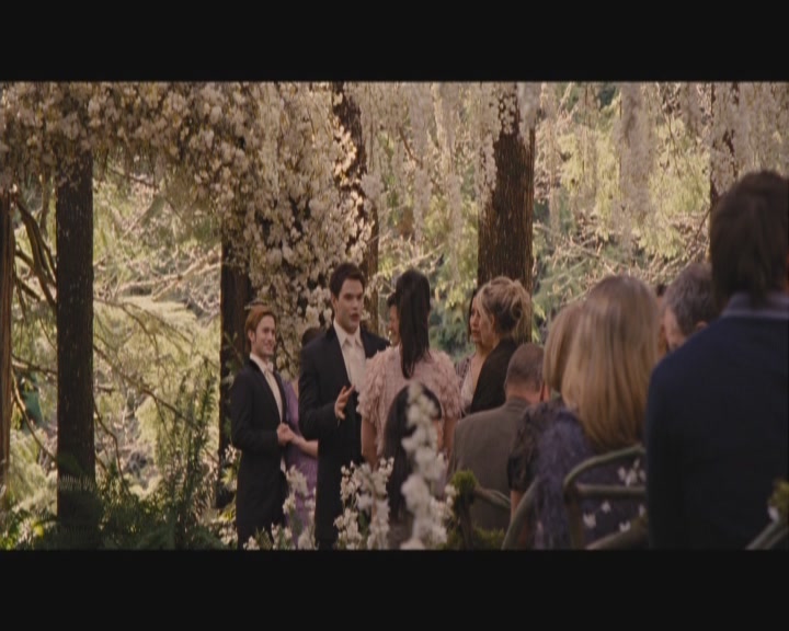 Ashley-Greene-dot-nl_BreakingDawnPart1-0199.jpg