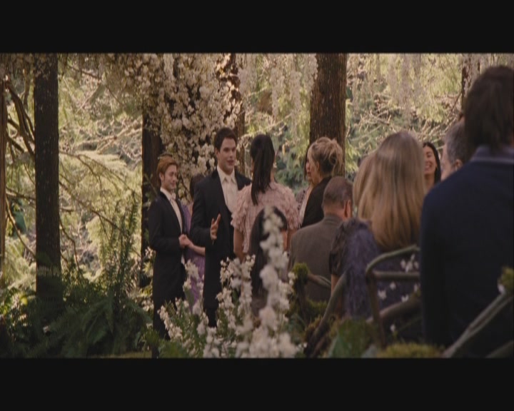 Ashley-Greene-dot-nl_BreakingDawnPart1-0200.jpg