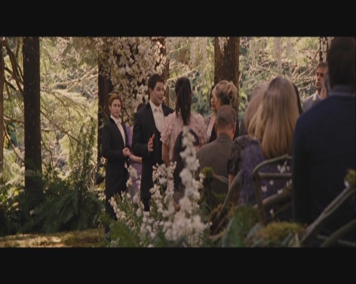 Ashley-Greene-dot-nl_BreakingDawnPart1-0201.jpg
