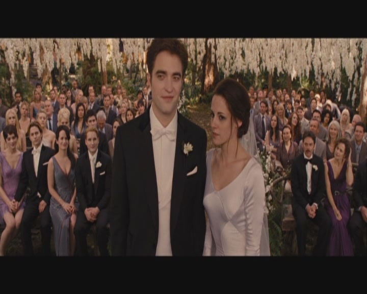Ashley-Greene-dot-nl_BreakingDawnPart1-0379.jpg