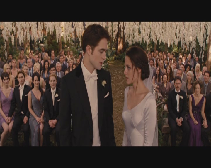 Ashley-Greene-dot-nl_BreakingDawnPart1-0385.jpg