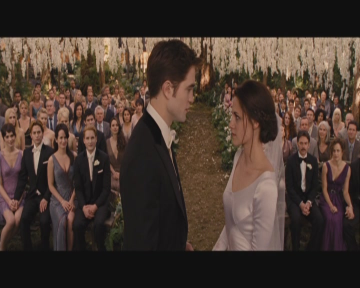 Ashley-Greene-dot-nl_BreakingDawnPart1-0387.jpg