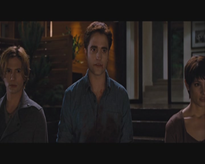 Ashley-Greene-dot-nl_BreakingDawnPart1-1639.jpg