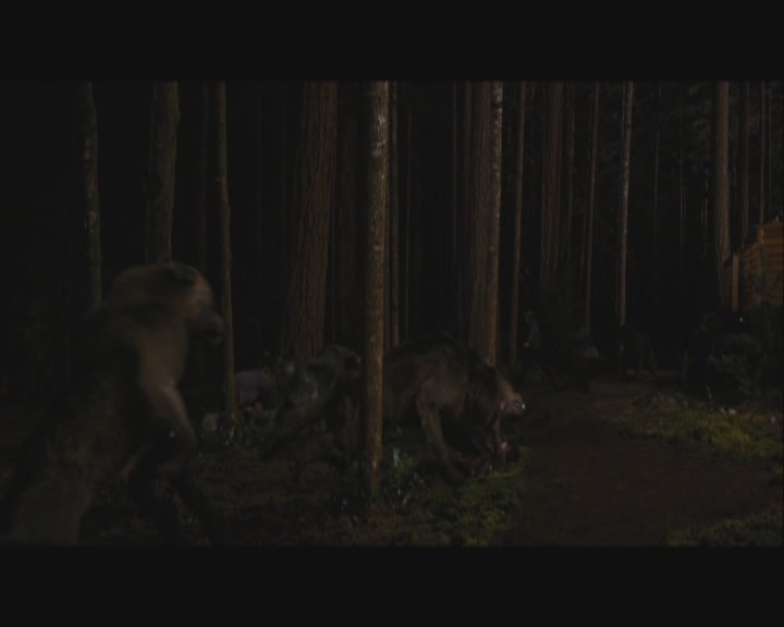 Ashley-Greene-dot-nl_BreakingDawnPart1-1683.jpg