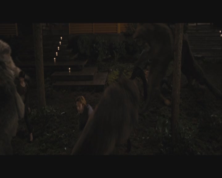 Ashley-Greene-dot-nl_BreakingDawnPart1-1700.jpg