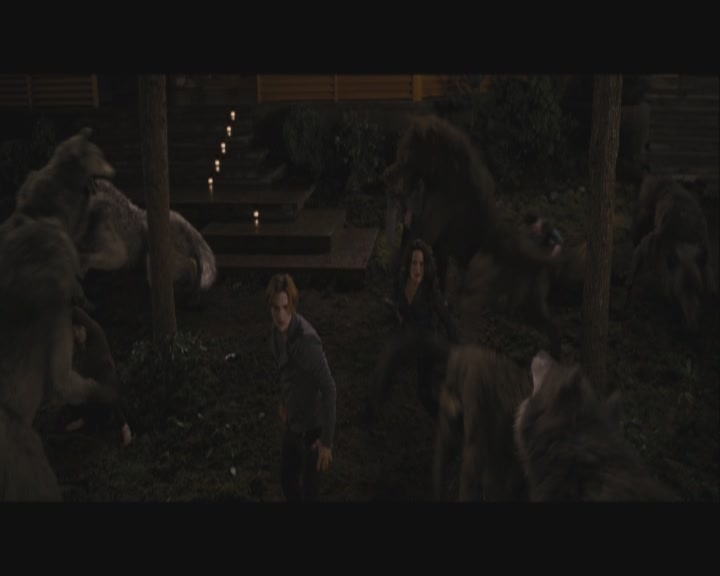Ashley-Greene-dot-nl_BreakingDawnPart1-1701.jpg