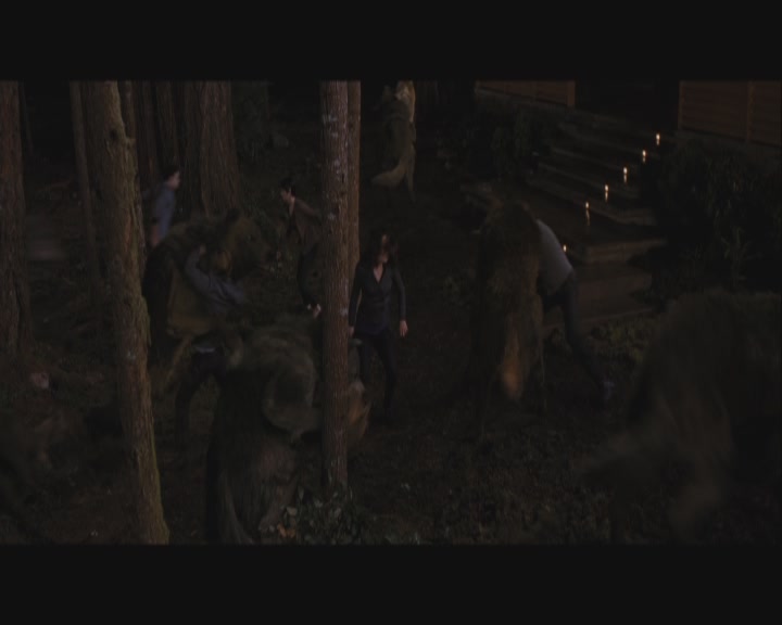 Ashley-Greene-dot-nl_BreakingDawnPart1-1704.jpg