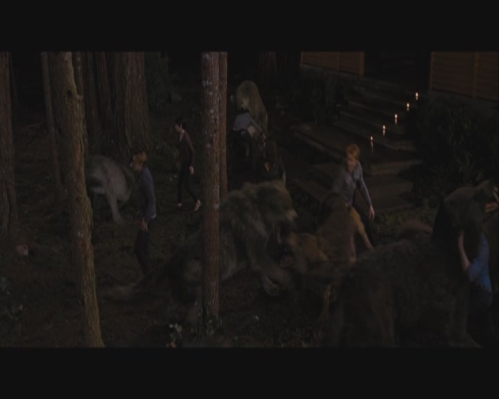Ashley-Greene-dot-nl_BreakingDawnPart1-1705.jpg