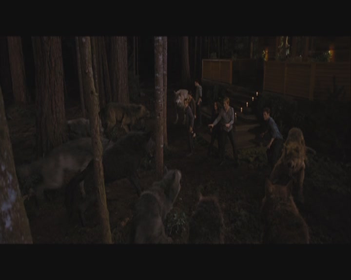 Ashley-Greene-dot-nl_BreakingDawnPart1-1709.jpg